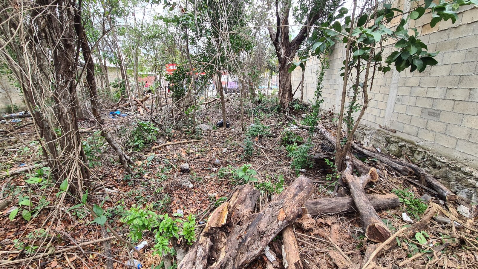 Terreno en La Veleta Tulum