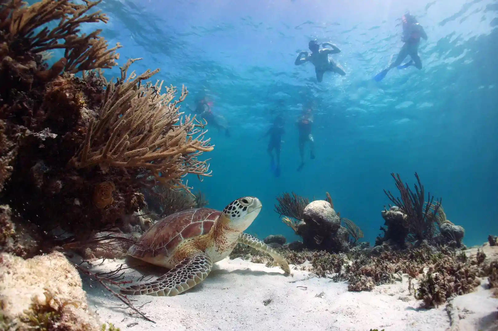 Akumal Riviera Maya propiedades