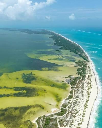 Mar turquesa Isla Blanca