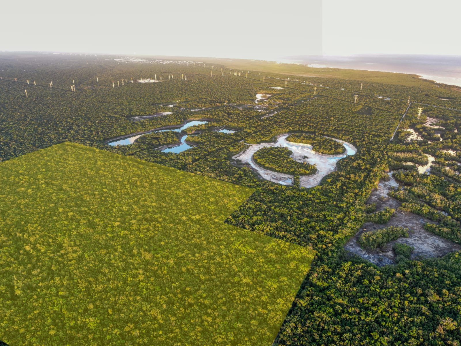 Terreno macro lotes Puerto Morelos