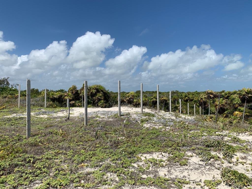 Terreno Isla Blanca 1250 m2 playa