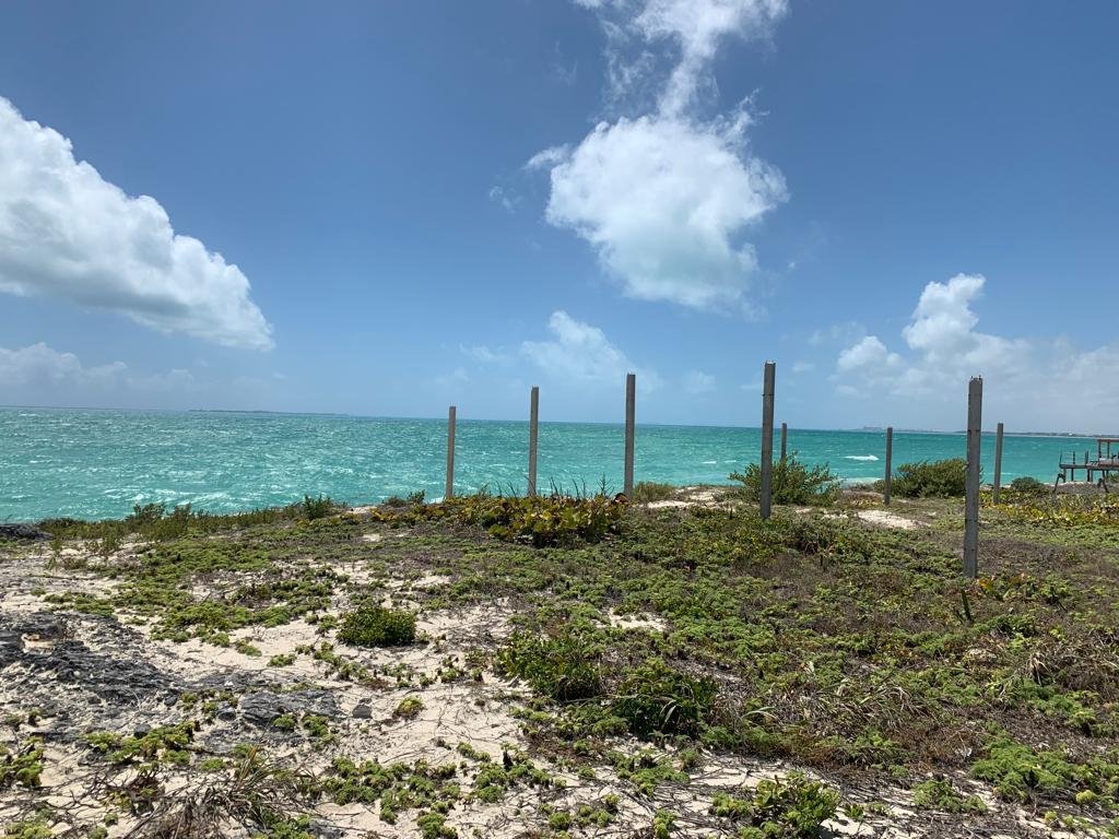 Playa del terreno Isla Blanca