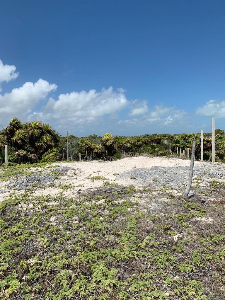 Terreno Isla Blanca Caribe Mexicano