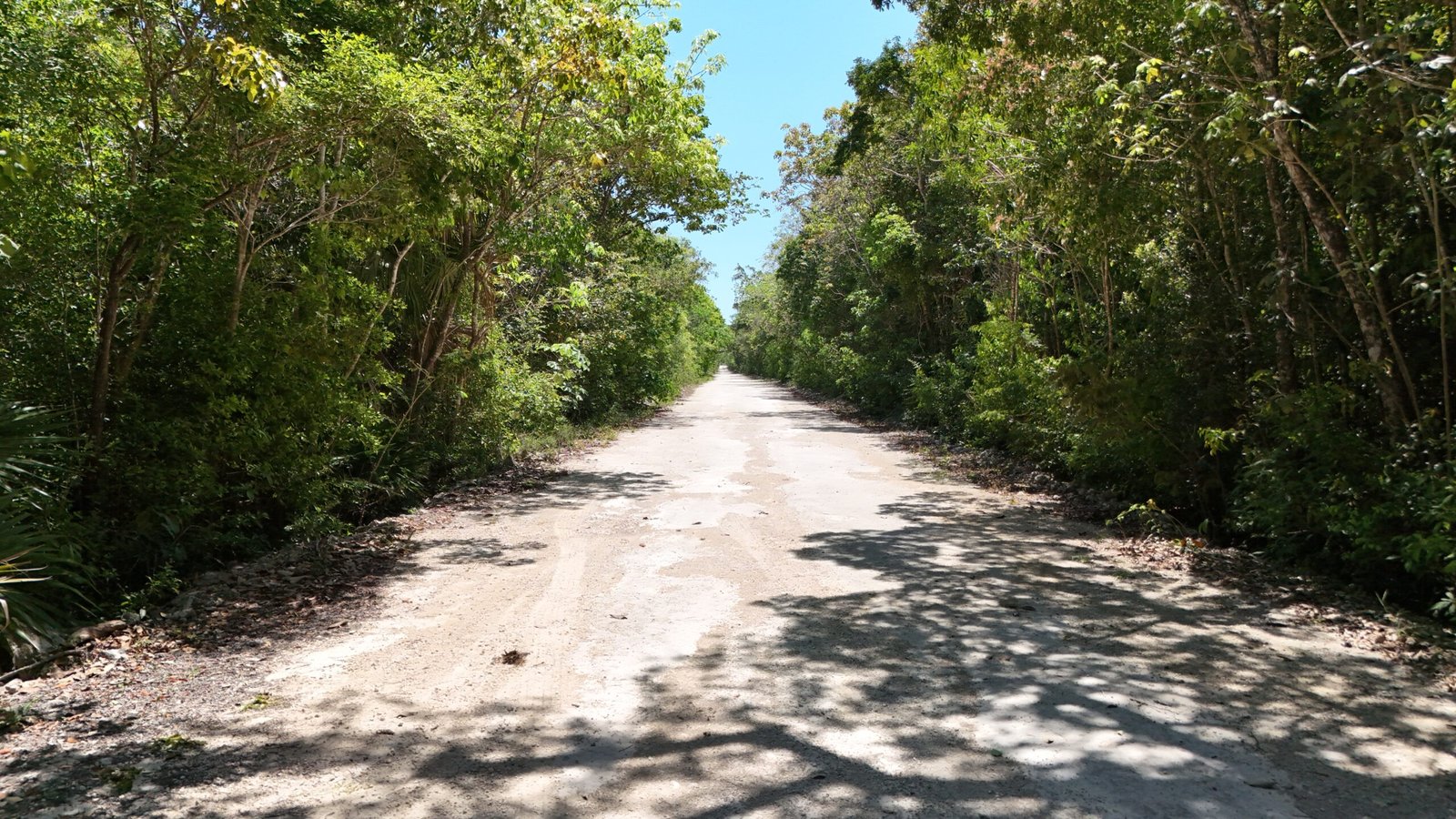 Camino de acceso al terreno